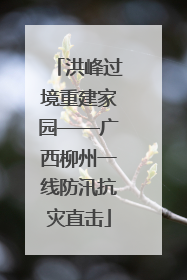 洪峰过境重建家园——广西柳州一线防汛抗灾直击